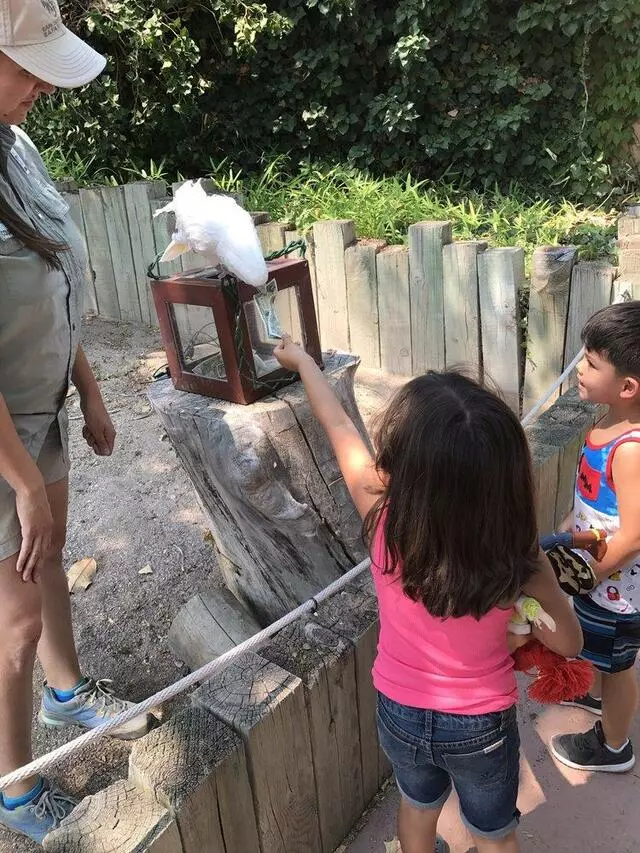 ABQ BioPark Zoo