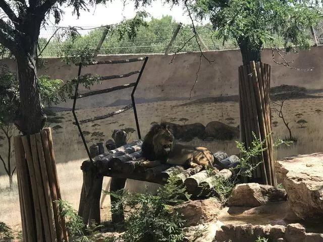 ABQ BioPark Zoo