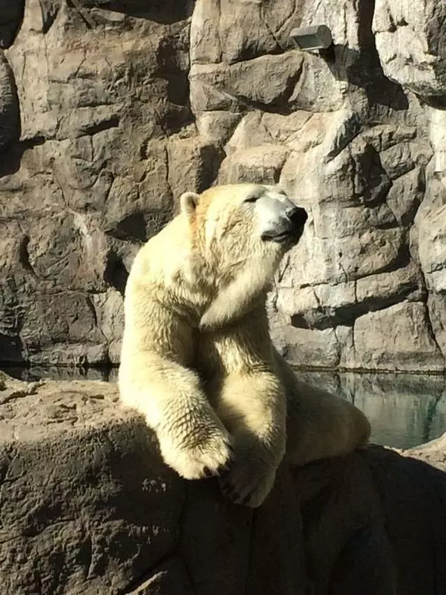 ABQ BioPark Zoo