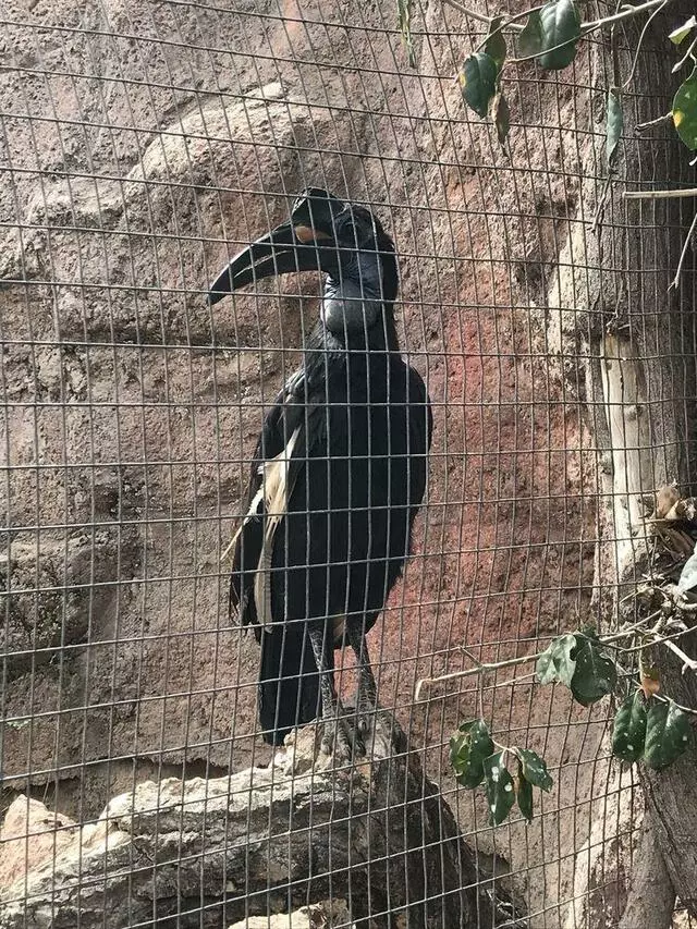 ABQ BioPark Zoo