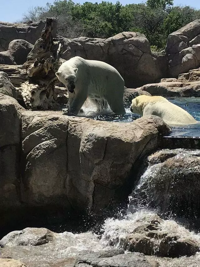 ABQ BioPark Zoo