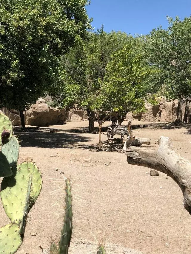 ABQ BioPark Zoo