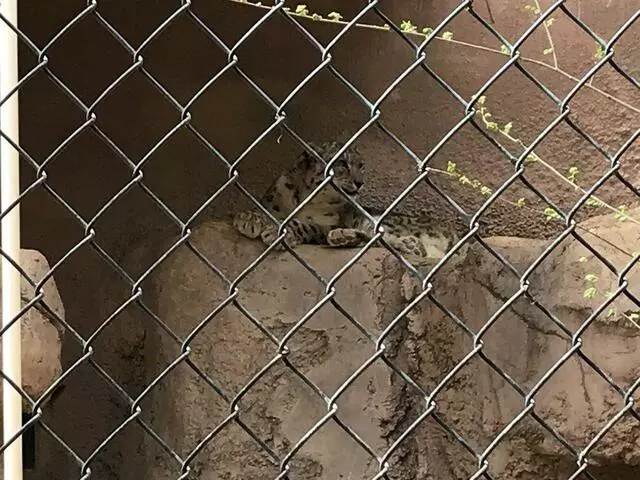 ABQ BioPark Zoo