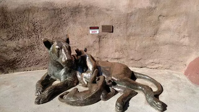 ABQ BioPark Zoo