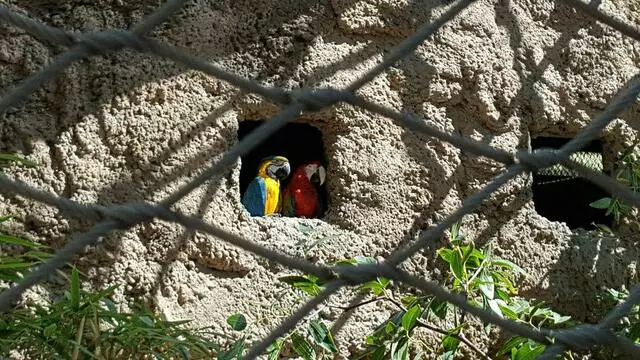 ABQ BioPark Zoo