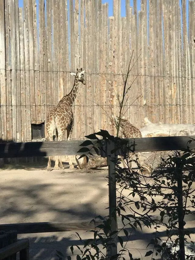 ABQ BioPark Zoo