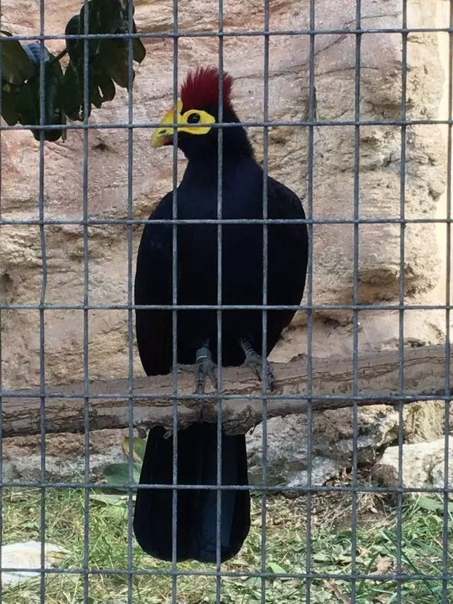 ABQ BioPark Zoo