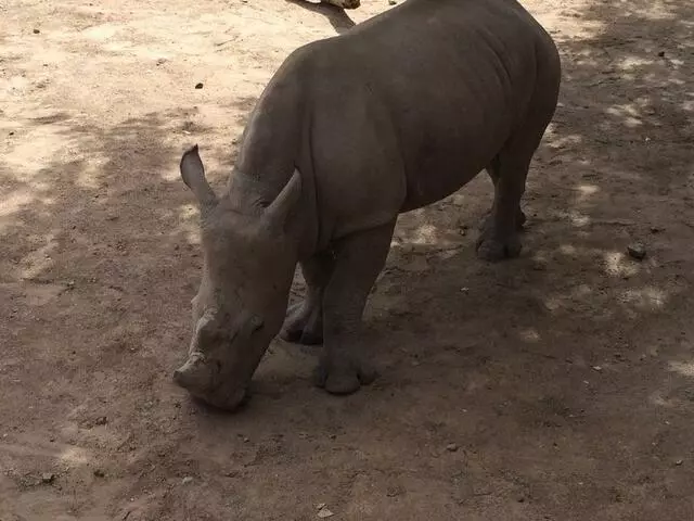 ABQ BioPark Zoo
