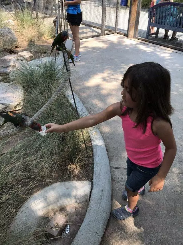 ABQ BioPark Zoo