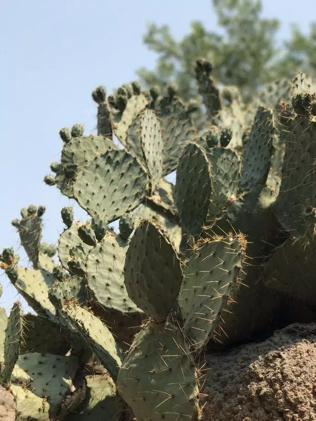 ABQ BioPark Zoo