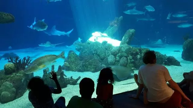 ABQ BioPark Zoo