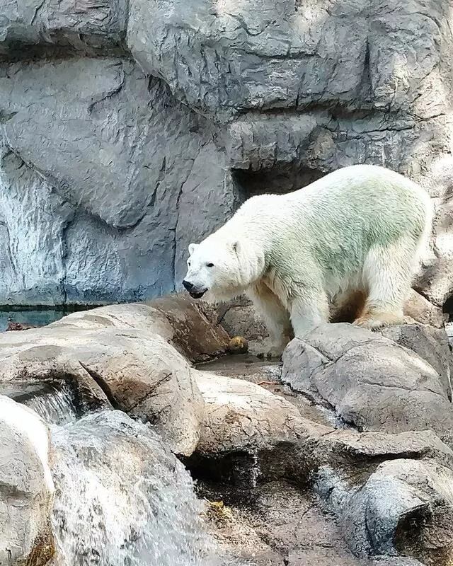 ABQ BioPark Zoo