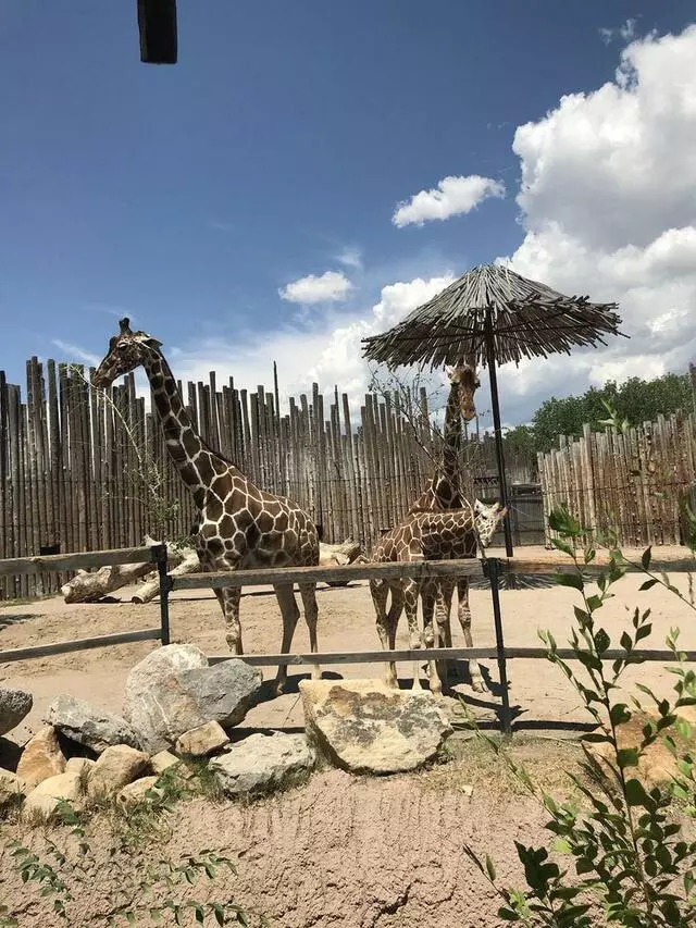 ABQ BioPark Zoo