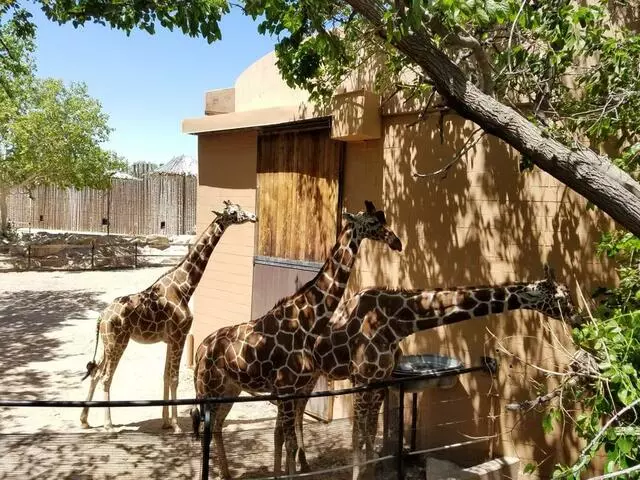 ABQ BioPark Zoo