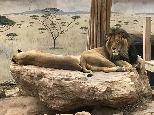 ABQ BioPark Zoo