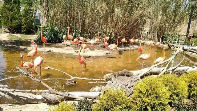 ABQ BioPark Zoo