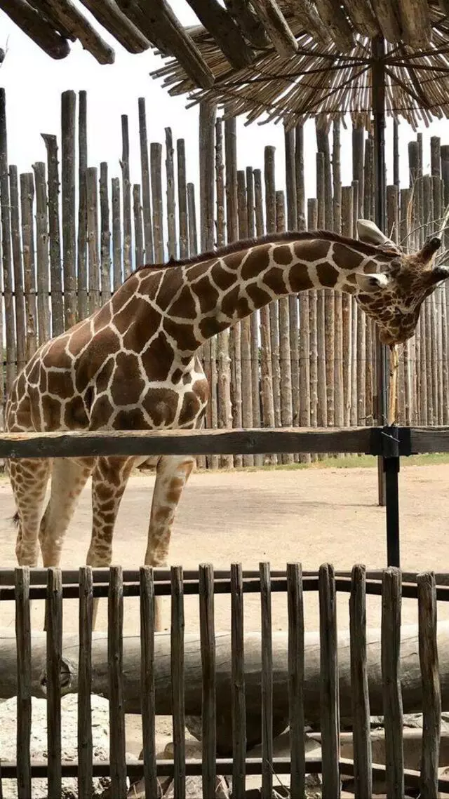 ABQ BioPark Zoo