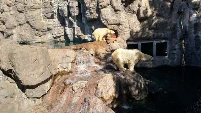 ABQ BioPark Zoo