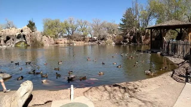 ABQ BioPark Zoo