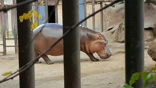 ABQ BioPark Zoo