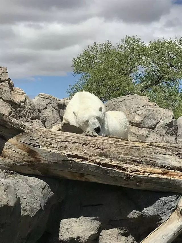 ABQ BioPark Zoo