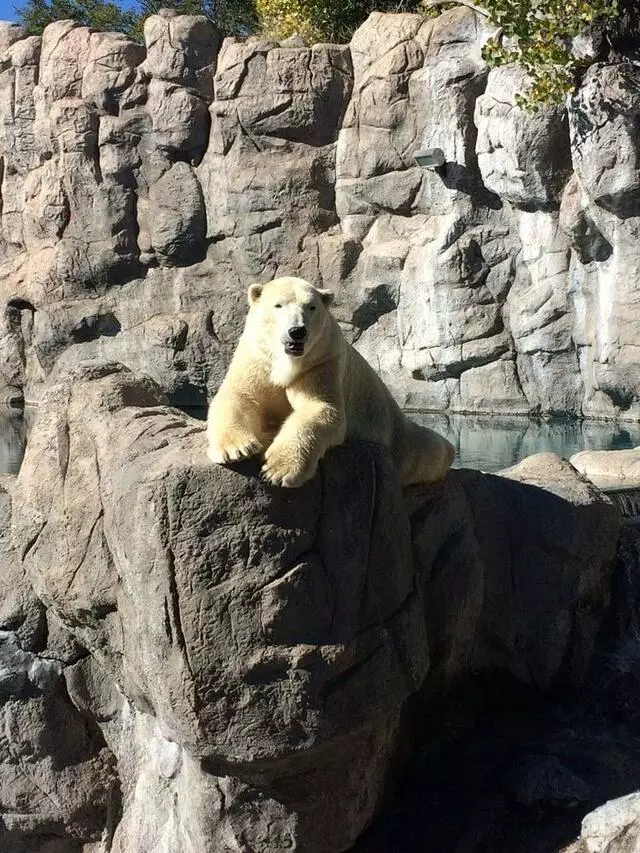 ABQ BioPark Zoo