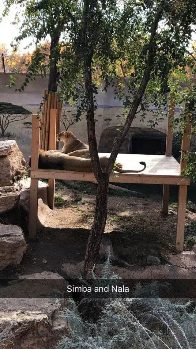 ABQ BioPark Zoo