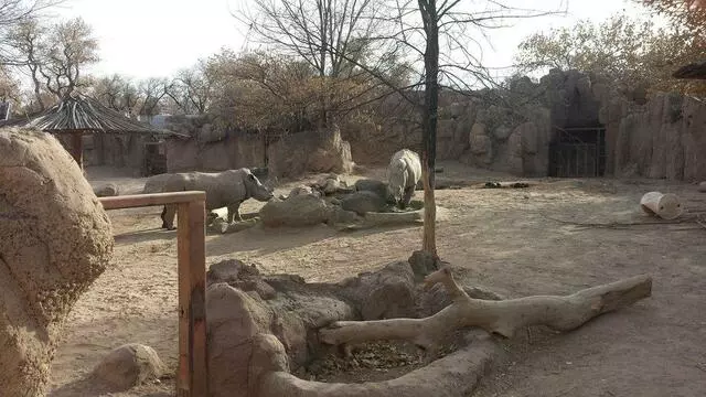 ABQ BioPark Zoo