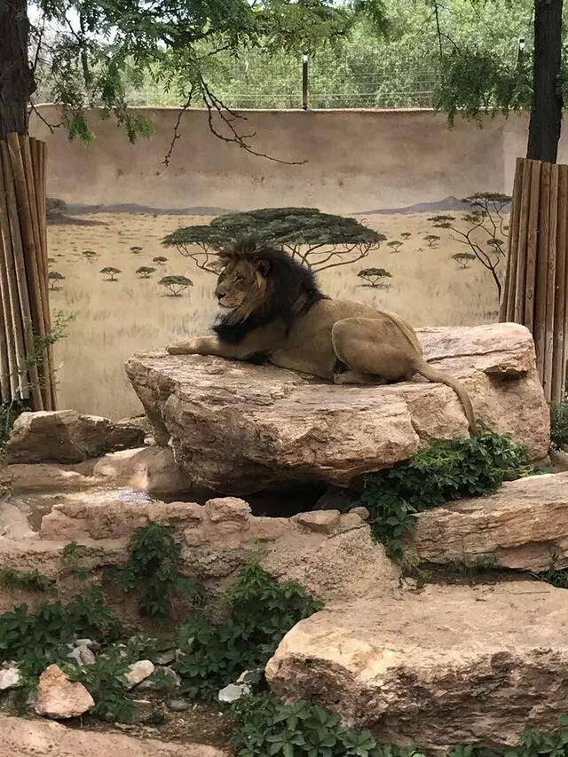 ABQ BioPark Zoo