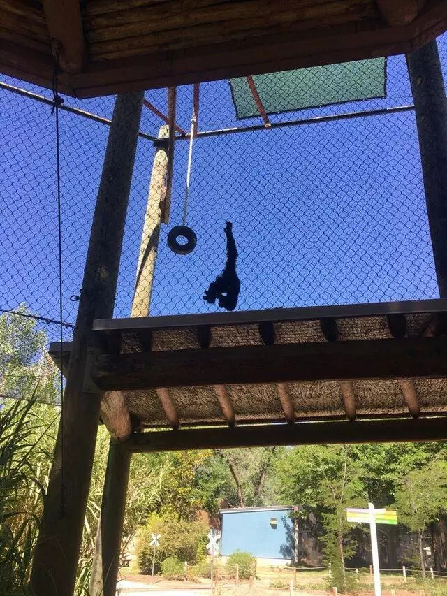 ABQ BioPark Zoo