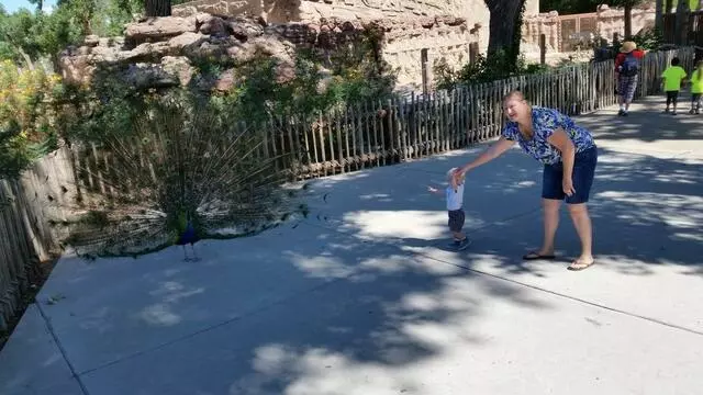 ABQ BioPark Zoo