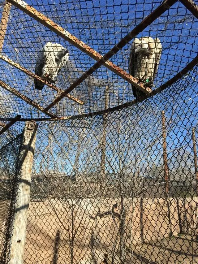 ABQ BioPark Zoo