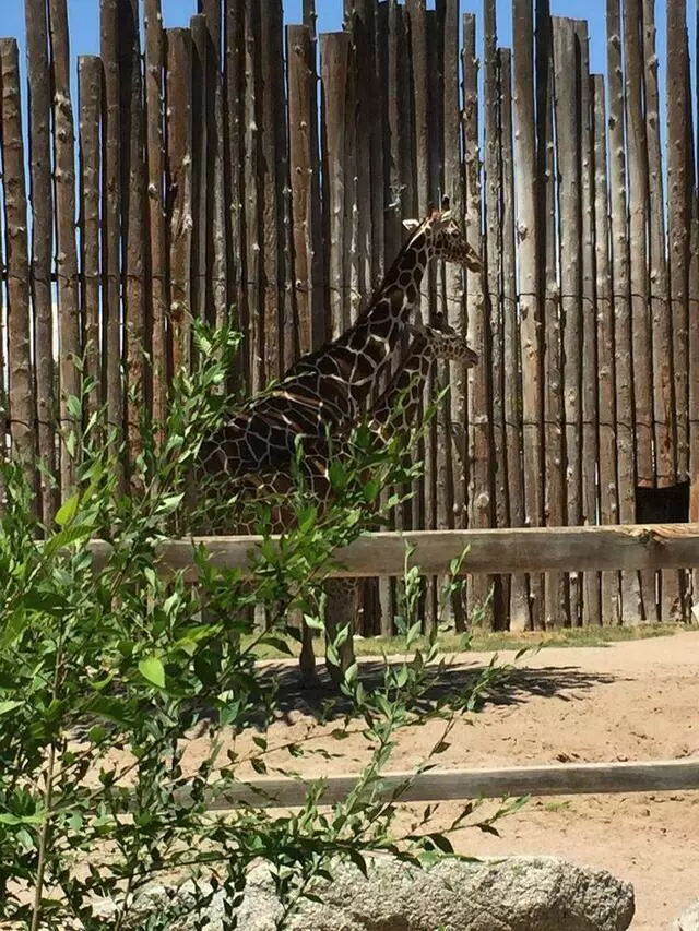 ABQ BioPark Zoo