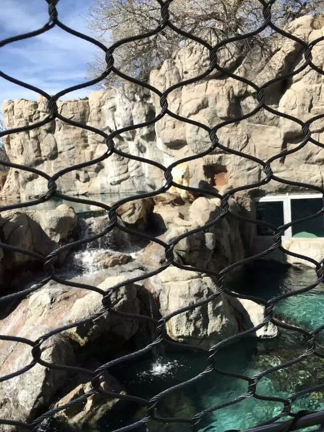 ABQ BioPark Zoo