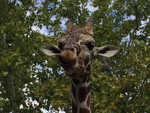 ABQ BioPark Zoo