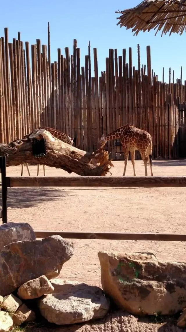 ABQ BioPark Zoo