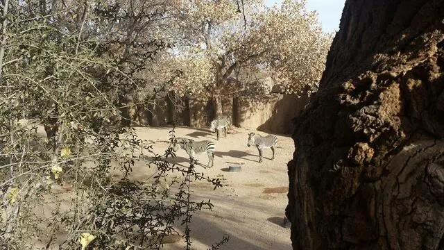 ABQ BioPark Zoo