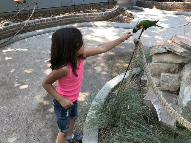 ABQ BioPark Zoo