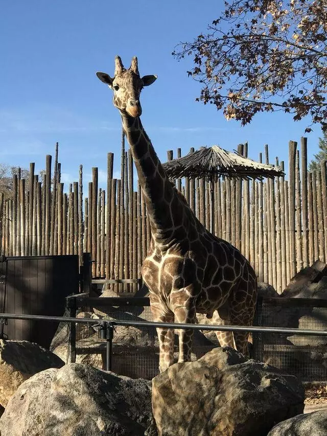 ABQ BioPark Zoo