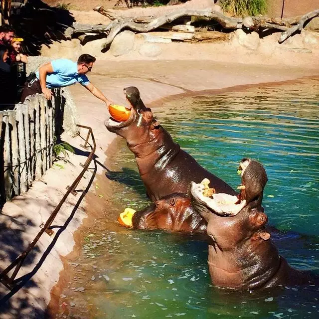 ABQ BioPark Zoo