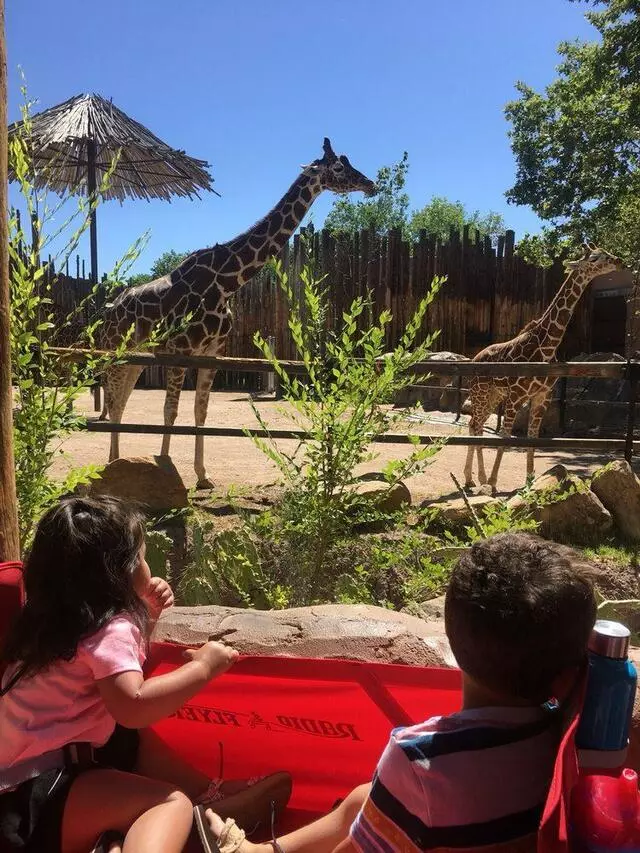 ABQ BioPark Zoo