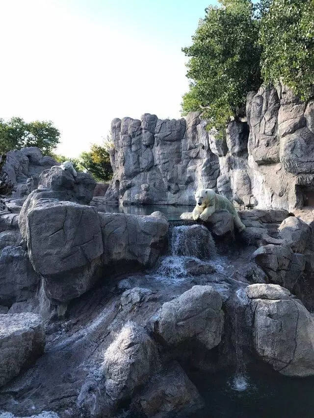 ABQ BioPark Zoo