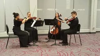 Albuquerque Youth Symphony Program