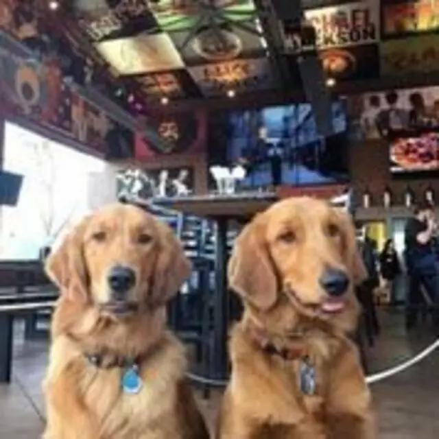 Rock & Brews - Albuquerque