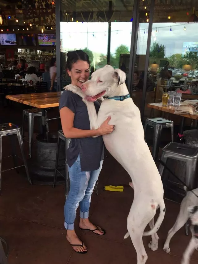 Rock & Brews - Albuquerque