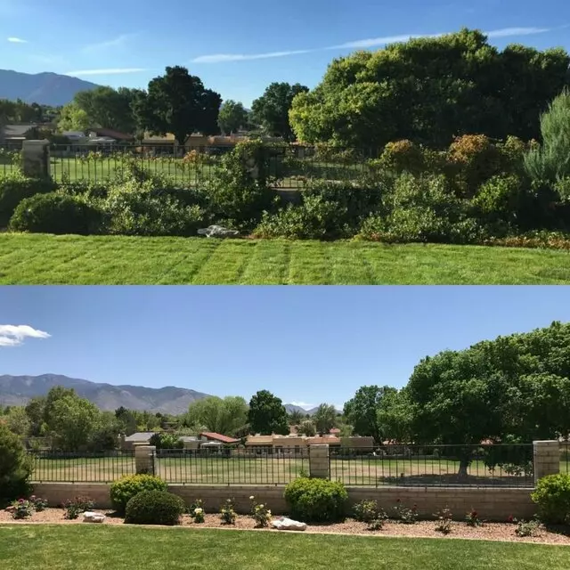 Affordable Landscape Maintenance