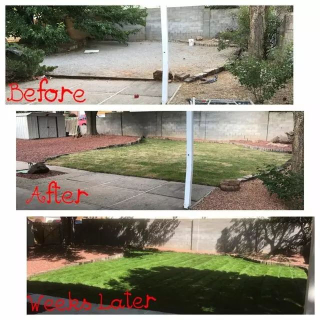 Affordable Landscape Maintenance