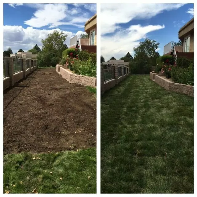 Affordable Landscape Maintenance