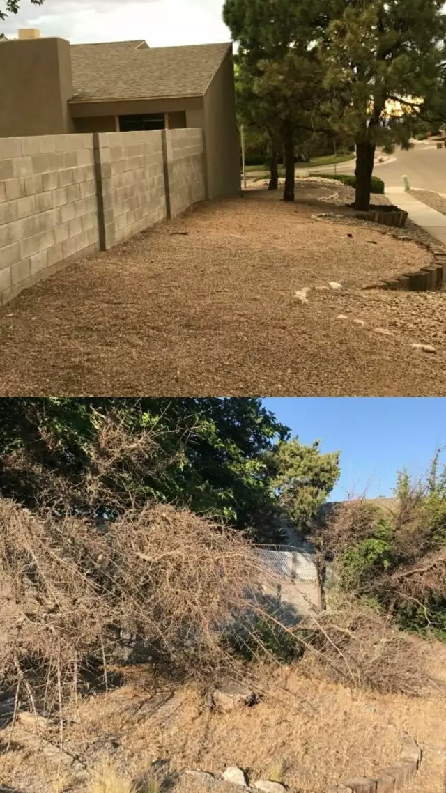 Affordable Landscape Maintenance