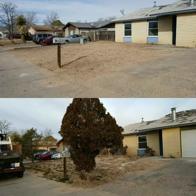 Affordable Landscape Maintenance